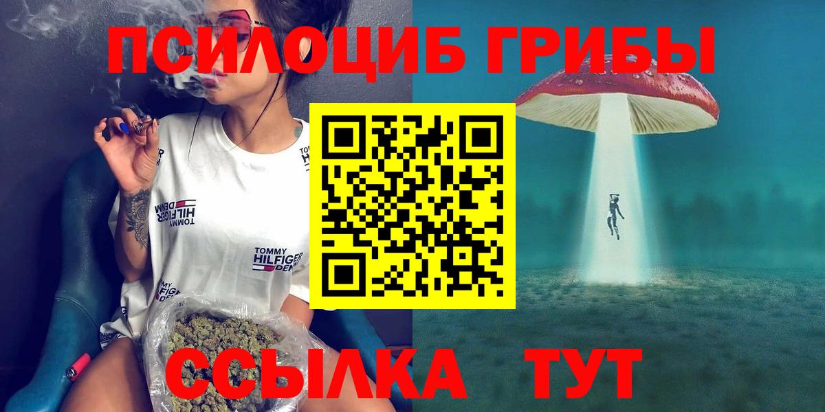Галлюциногенные грибы Psilocybe  Вход с VPN  Майкоп 
